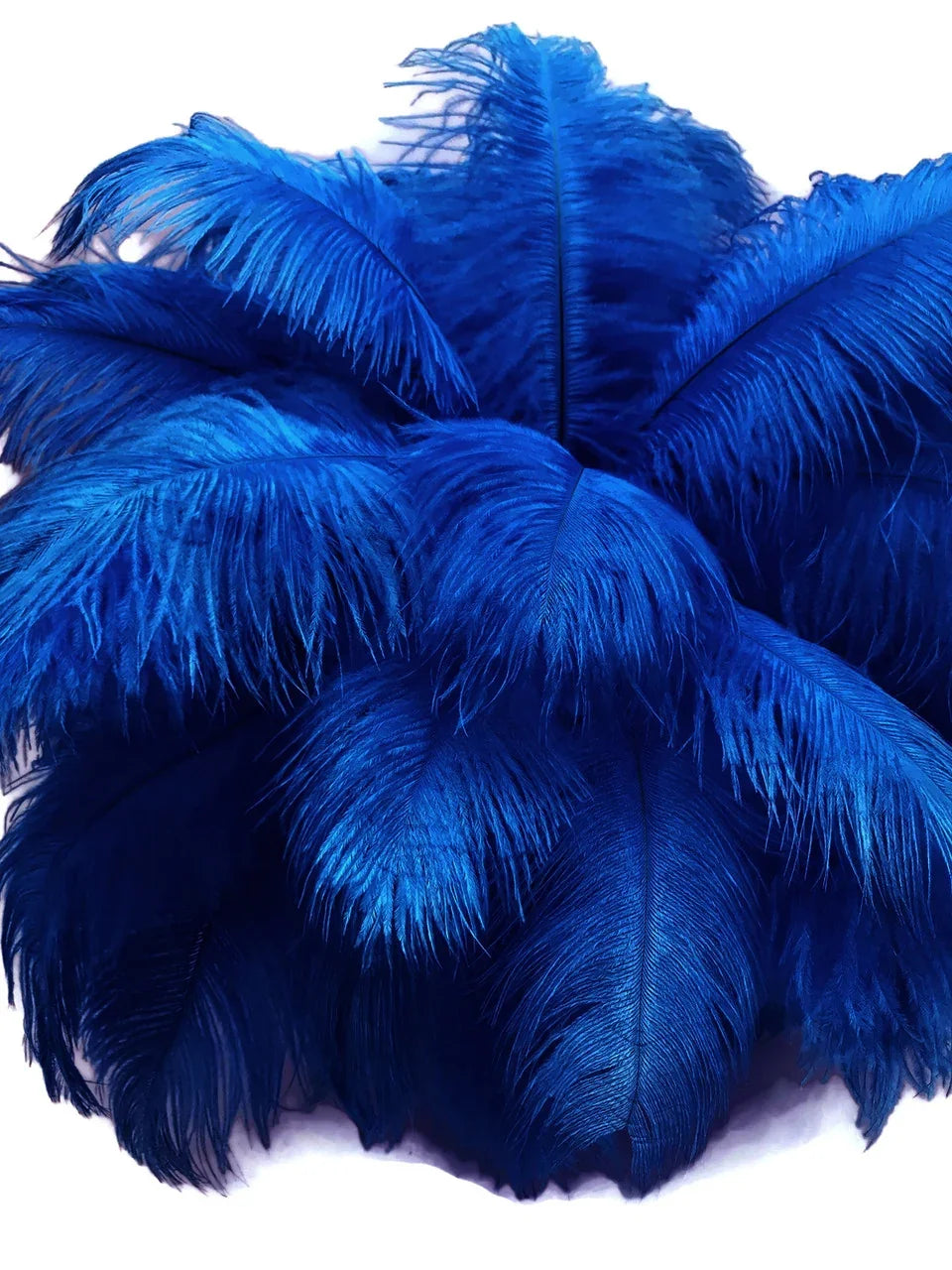 Vibrant royal blue ostrich feathers for DIY crafts and fashion decor.