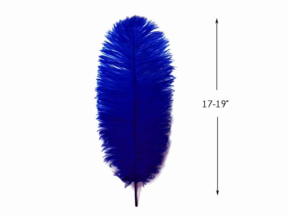 Large cobalt blue ostrich feather for crafts and fashion, 17-19 inches long.