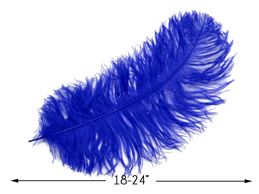 Vibrant royal blue ostrich feather for crafts and fashion decor, 18-24 inches long.