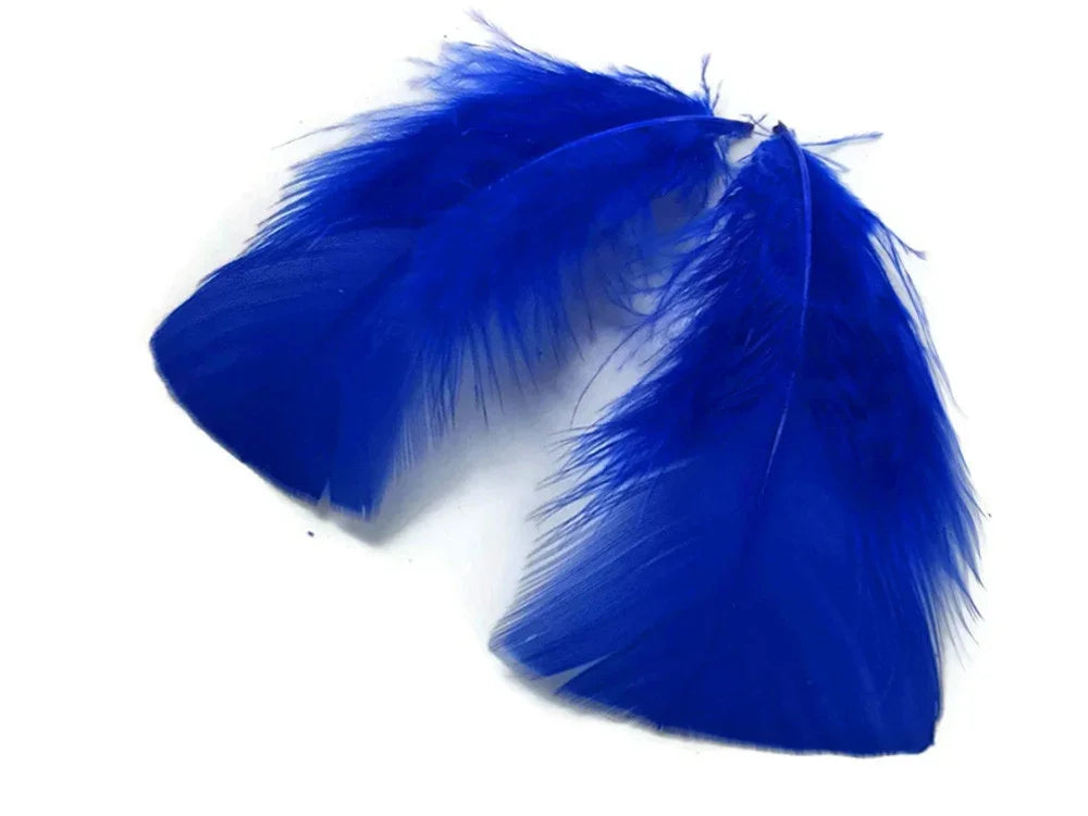 Vibrant cobalt blue feathers for DIY crafts and fashion accessories.