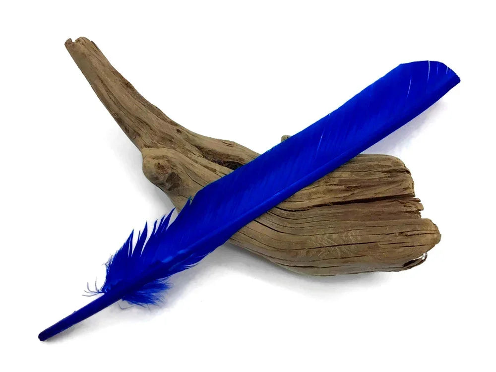 Vibrant cobalt blue feather resting on a piece of natural driftwood against a white background.
