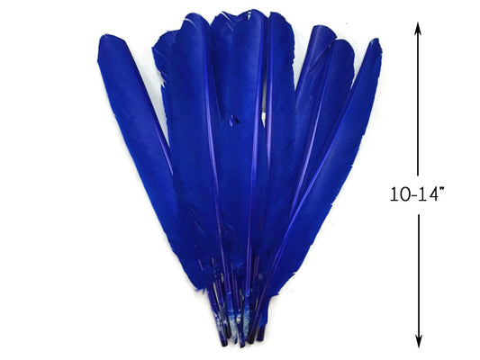 1/4 Lb - Royal Blue Turkey Pointers Primary Wing Quill Large Wholesale Feathers (Bulk)