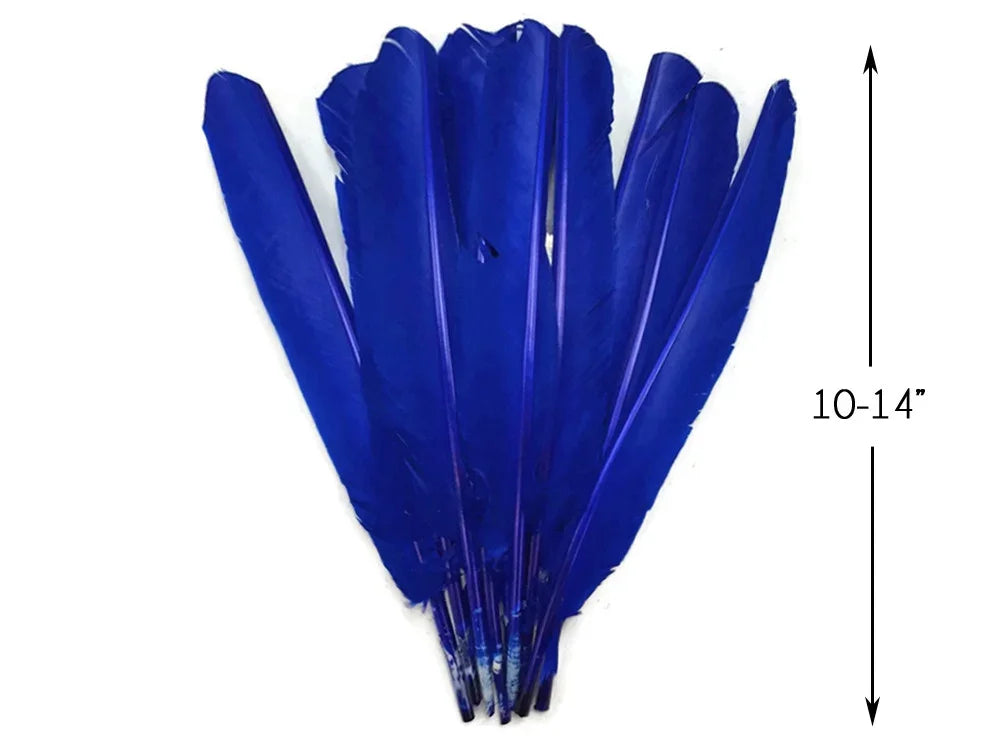 Vibrant cobalt blue feathers for crafts and fashion, 10-14 inches long.