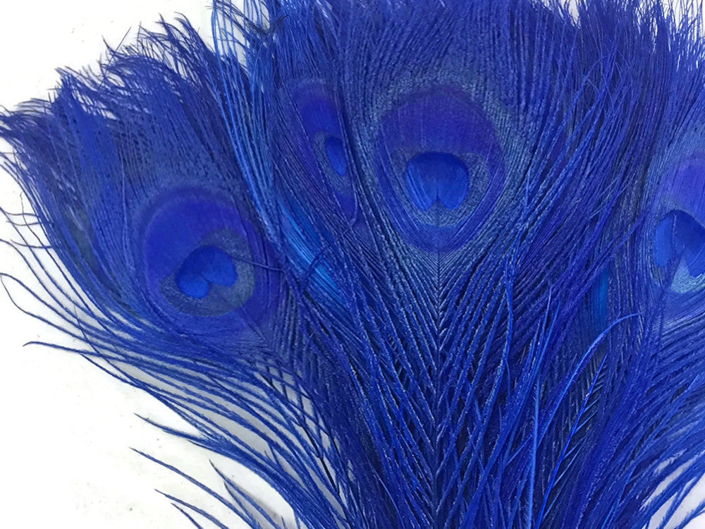 5 Pieces – Royal Blue Bleached & Dyed Peacock Tail Eye Feathers 10-12” Long