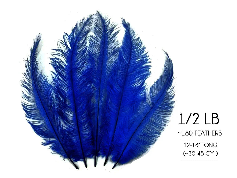 Bundle of 180 vibrant blue ostrich feathers for crafts and fashion, 12-18 inches long.