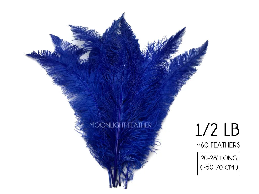 Bundle of 60 vibrant blue ostrich feathers, 20-28 inches long for crafts and decor.
