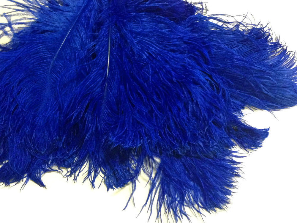10 Pieces - 12-16" Royal Blue Dyed Ostrich Tail Fancy Feathers