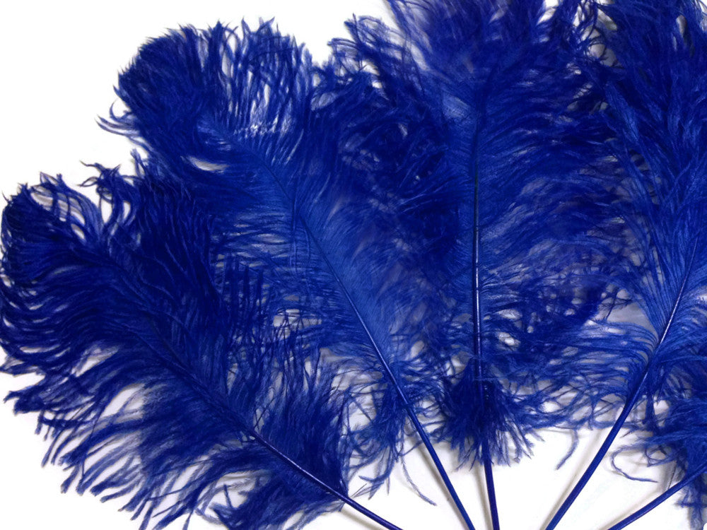 10 Pieces - 12-16" Royal Blue Dyed Ostrich Tail Fancy Feathers