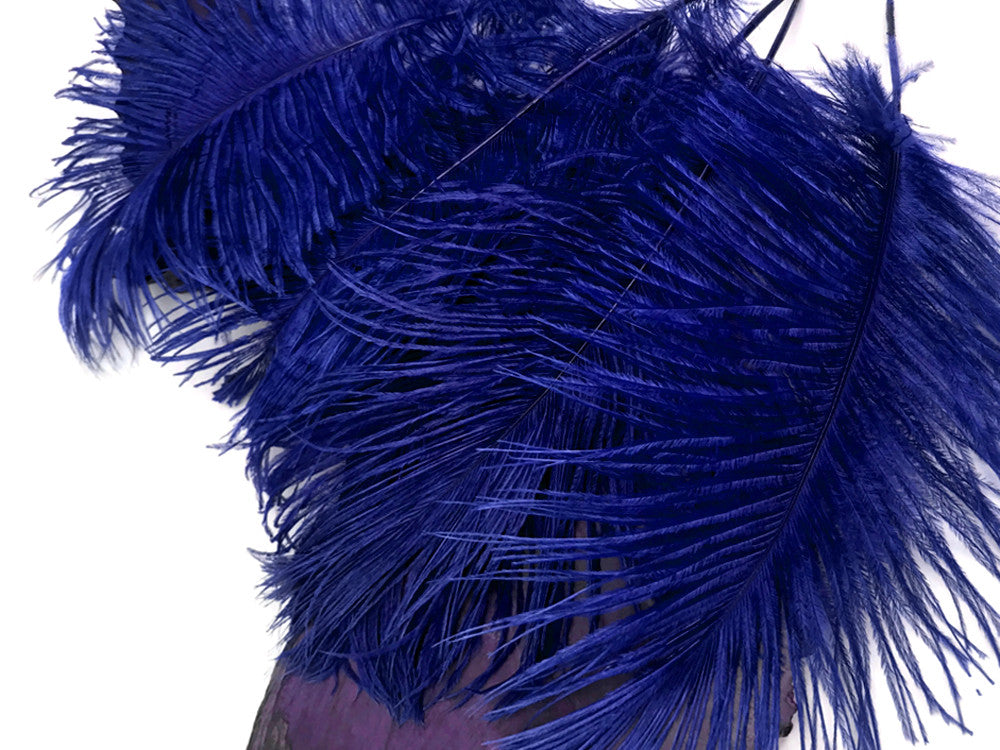 10 Pieces - 12-16" Royal Blue Dyed Ostrich Tail Fancy Feathers