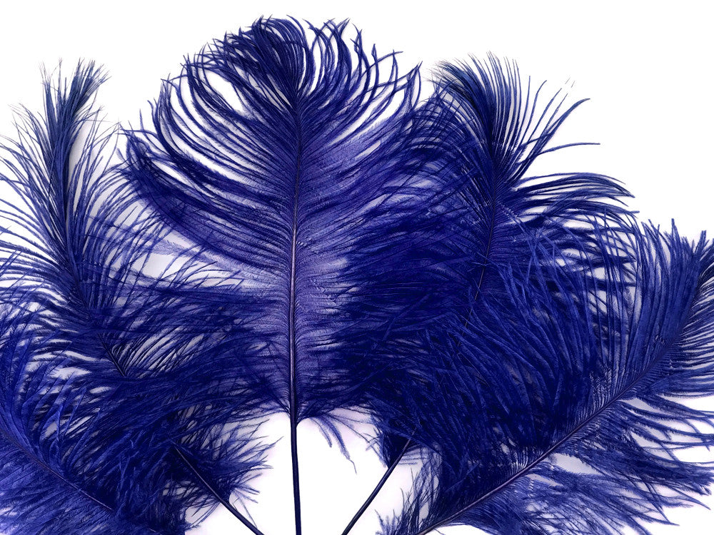10 Pieces - 12-16" Royal Blue Dyed Ostrich Tail Fancy Feathers