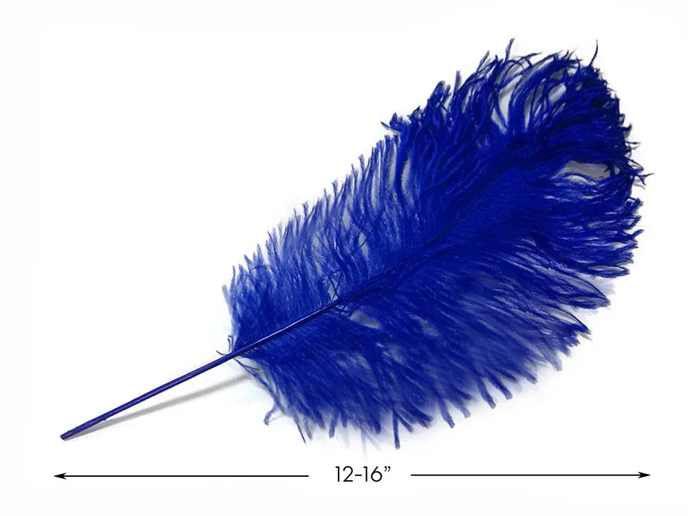 Vibrant blue ostrich feather for crafts and fashion decor, 12-16 inches long.