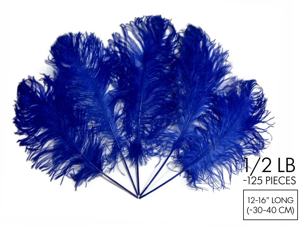 Vibrant royal blue ostrich feathers for crafts and decor, 12-16 inches long, 125 pieces pack.