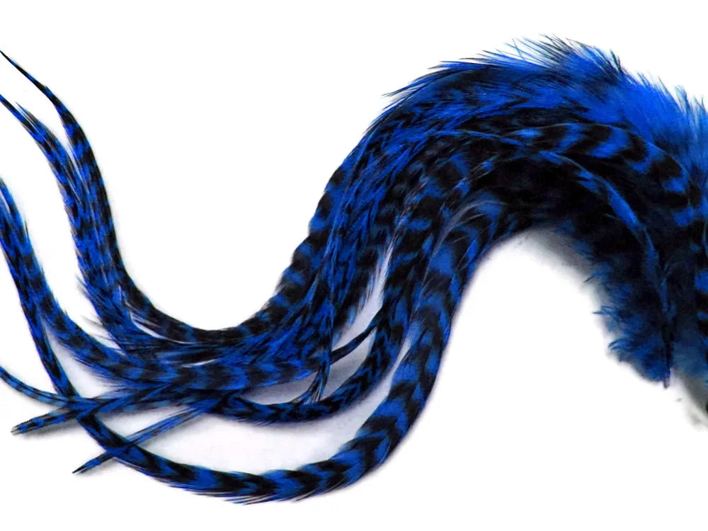Long blue and black striped craft feathers on a white background