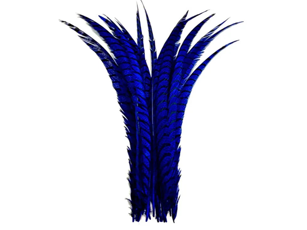 Vibrant cobalt blue pheasant feathers for DIY crafts and fashion accessories.