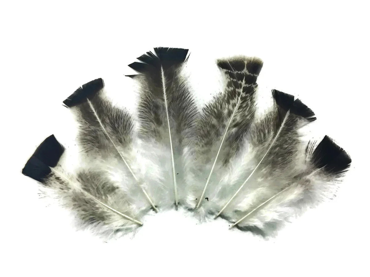 Natural grey and white feathers arranged in a fan shape for DIY crafts and fashion decor.