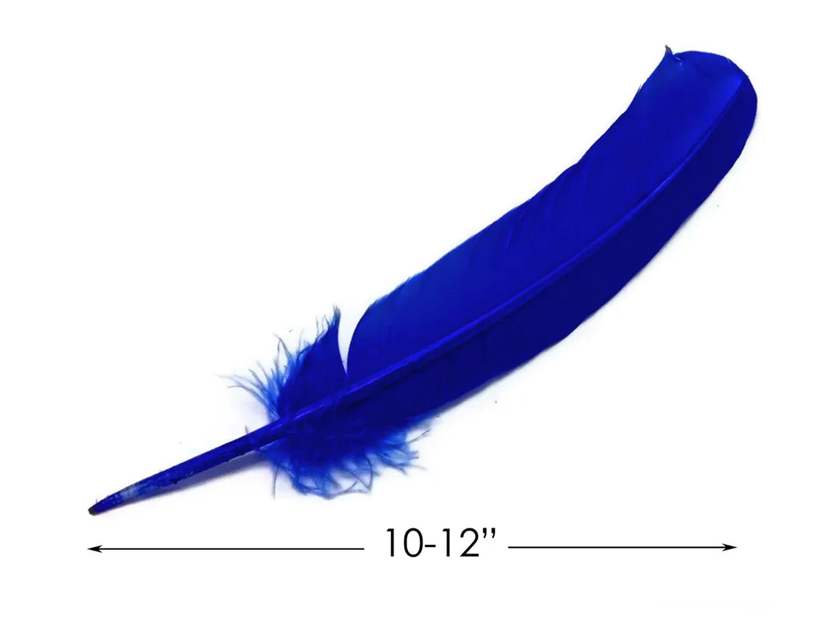 Single vibrant royal blue craft feather, 10-12 inches long, for DIY fashion and decor.