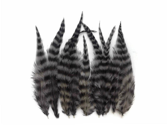 1 Dozen - Short Grey Dun Grizzly Whiting Farm Rooster Saddle Hair Extension Feathers