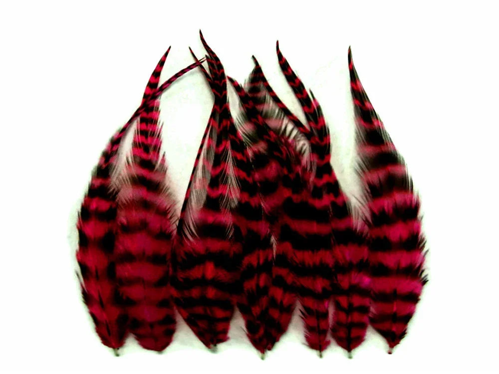 Vibrant pink and black striped craft feathers for DIY fashion and decor.