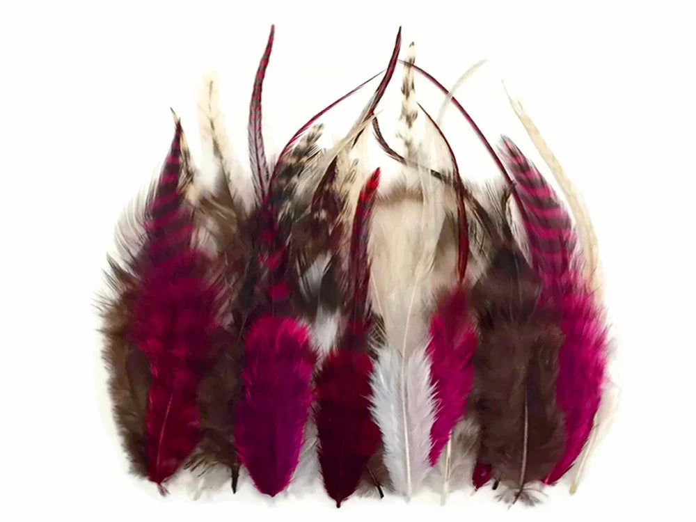 Assorted magenta, brown, and white decorative craft feathers on a white background
