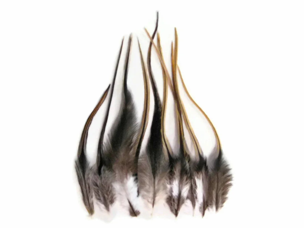 Natural brown and black patterned feathers for DIY crafts and fashion decor.