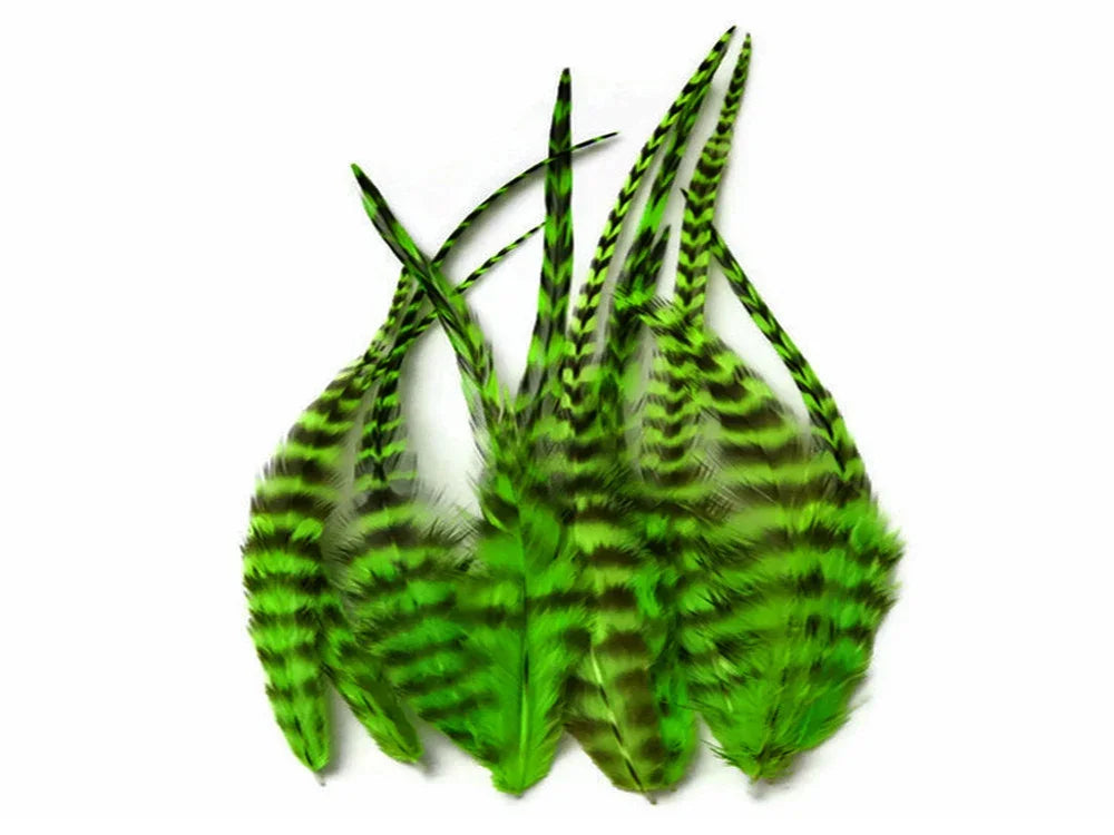 Vibrant green and black striped decorative feathers for crafts and DIY fashion.