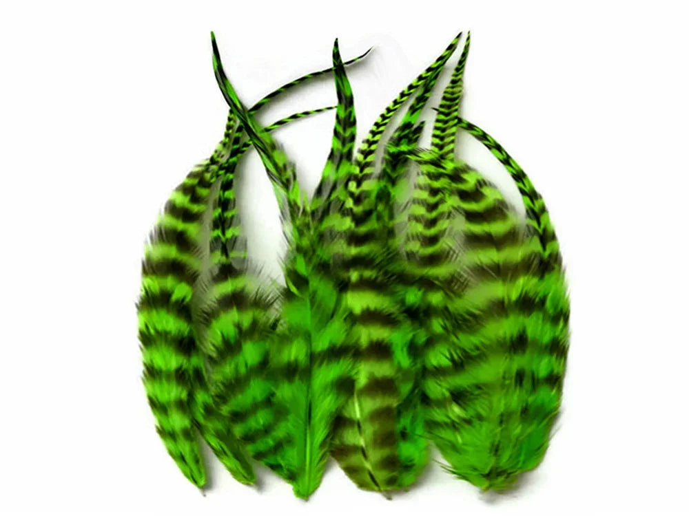 Vibrant green and black striped decorative feathers for DIY crafts and fashion accessories.