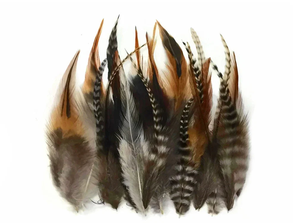 Assorted natural brown and black patterned feathers for DIY crafts and fashion decor.