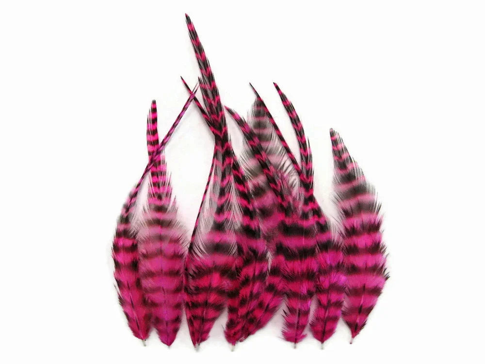 Vibrant pink and black striped craft feathers for DIY fashion and décor.