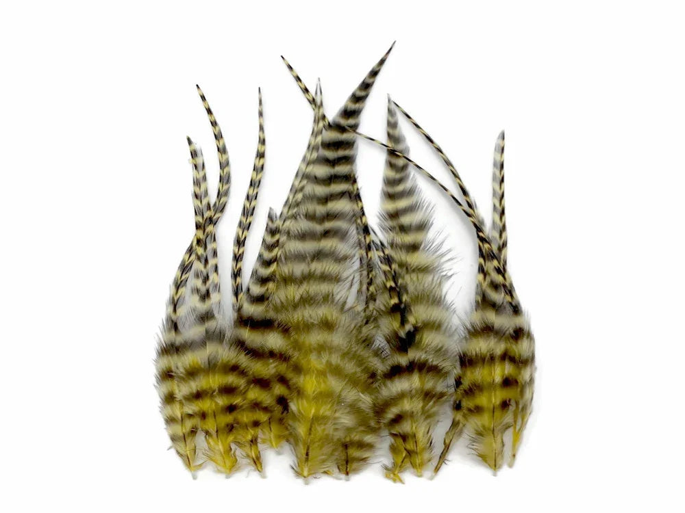 Striped yellow and black craft feathers for DIY fashion and decor accessories.