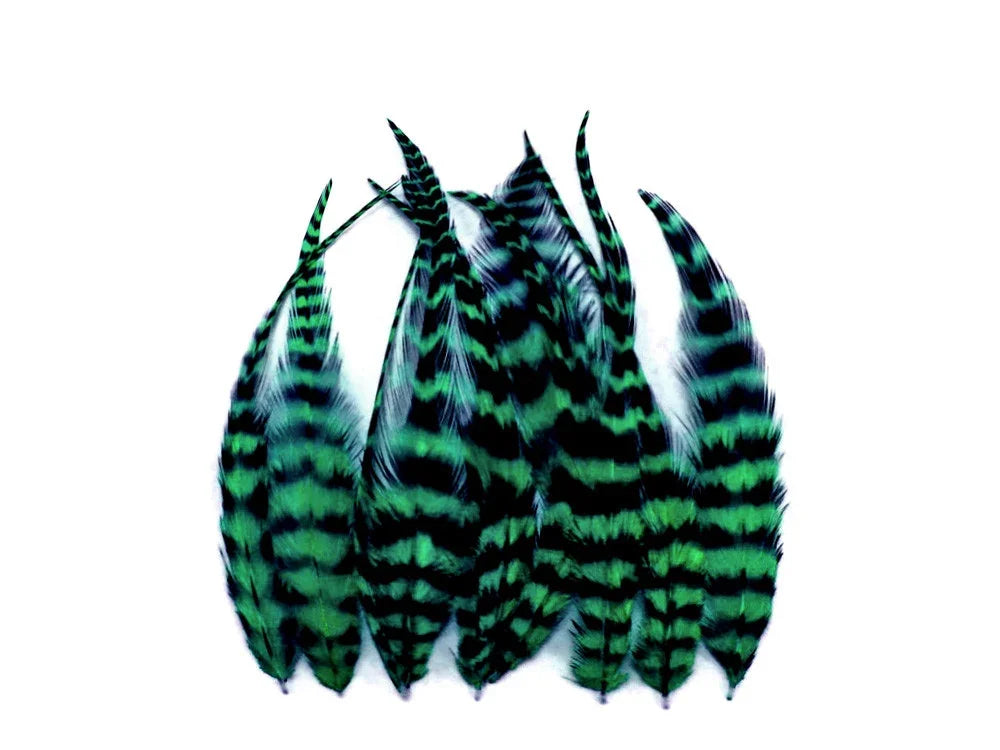 Green and black striped decorative feathers for crafts and DIY fashion projects.