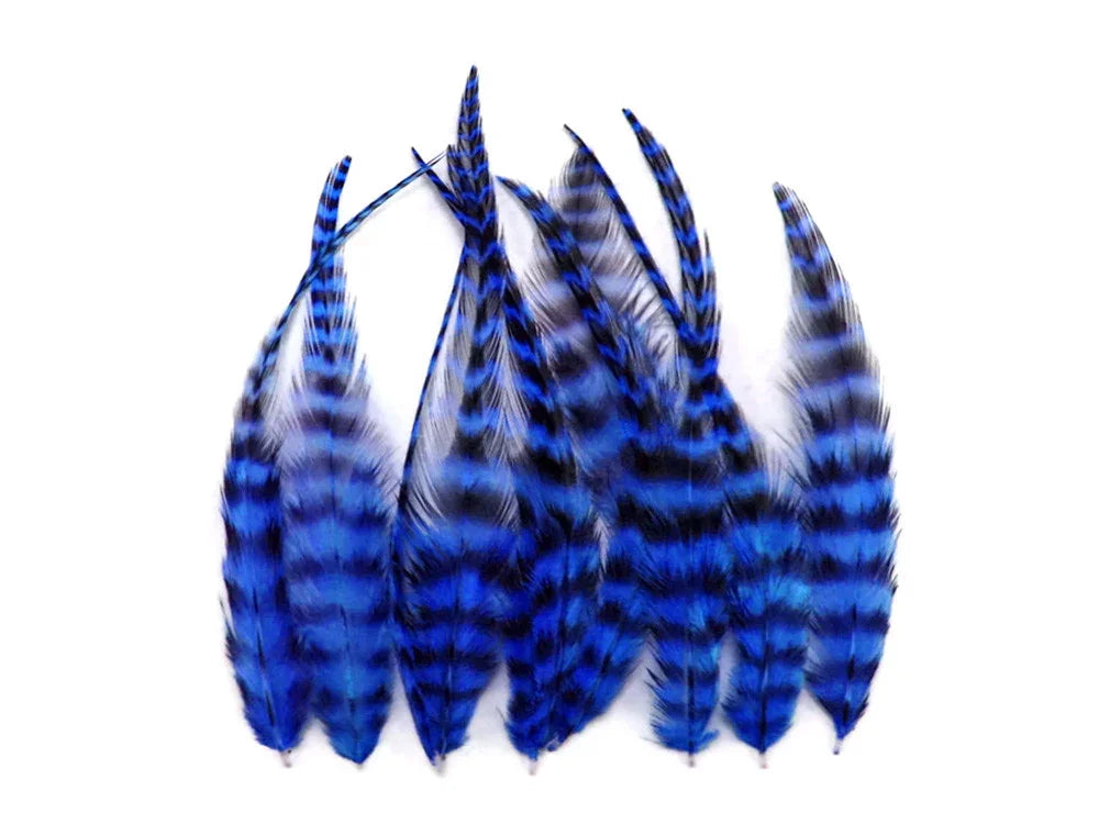 Vibrant blue and black striped craft feathers for DIY fashion and décor projects.
