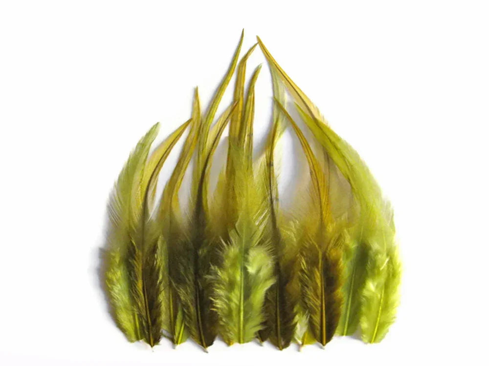 Natural olive green feathers for DIY crafts and fashion accessories on a white background.