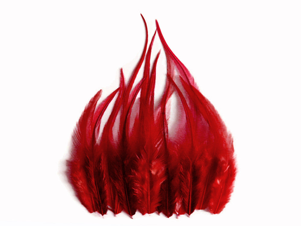Vibrant red craft feathers arranged in a decorative fan shape on a white background.