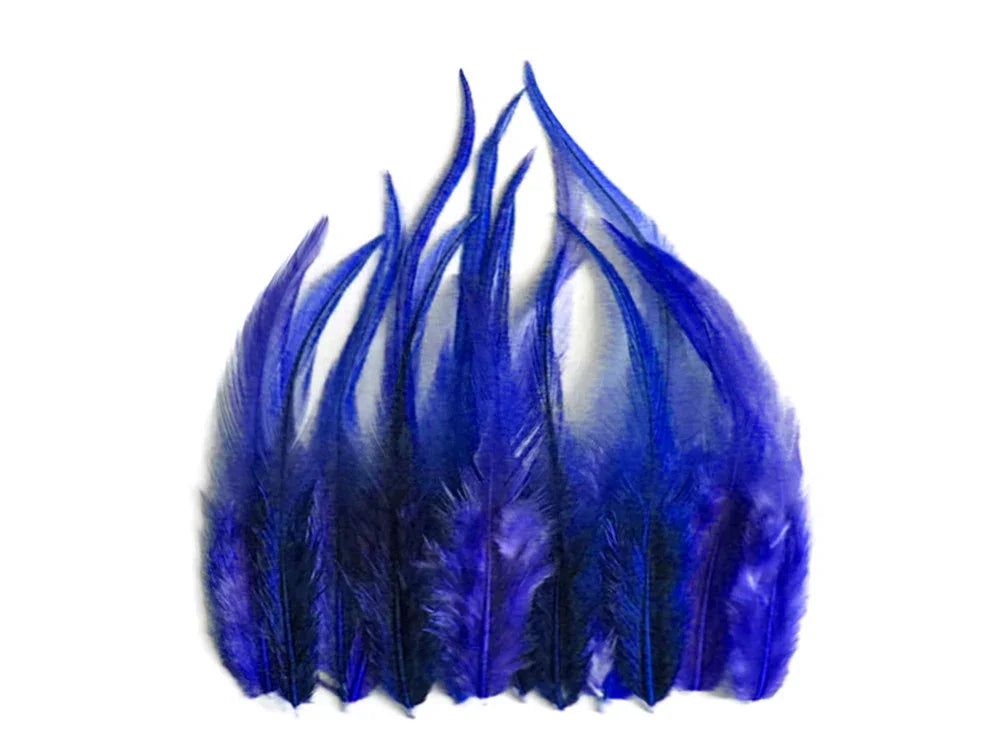 A collection of vibrant royal blue dyed feathers arranged in a fan shape on a white background.