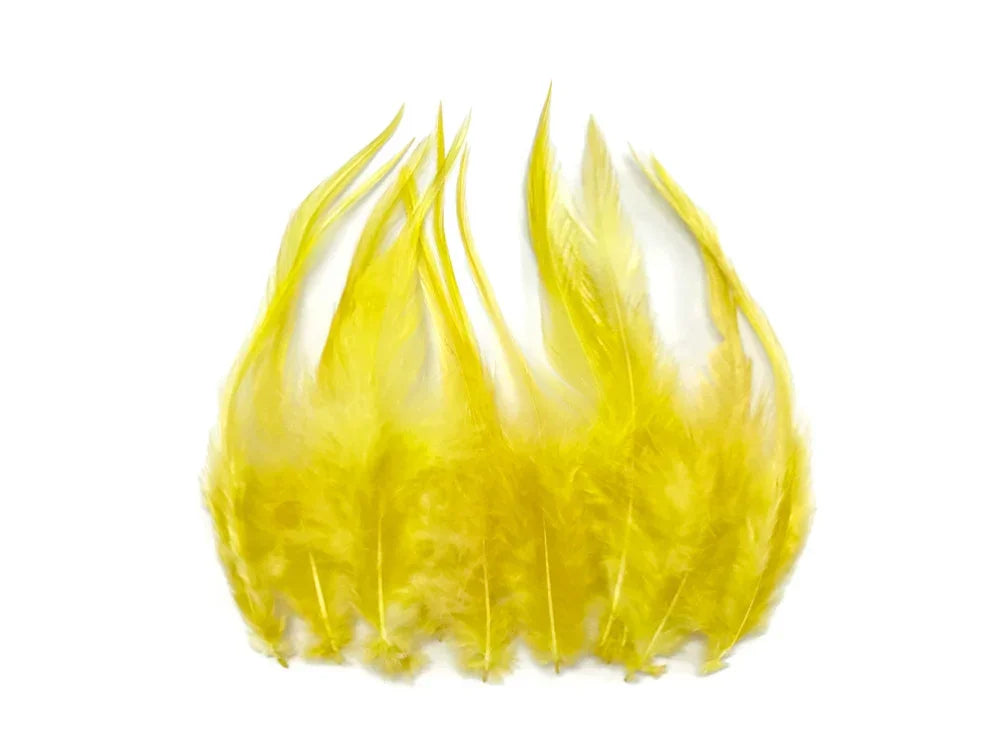 A cluster of vibrant yellow feathers arranged in a fan shape on a white background.
