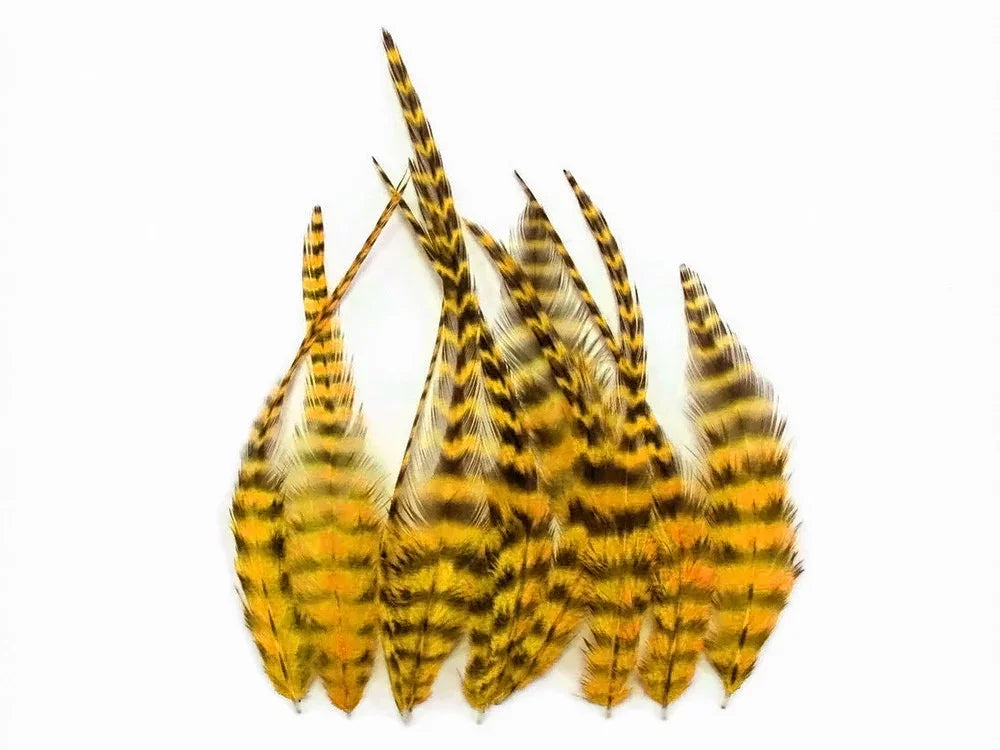 Natural yellow and black striped feathers for DIY crafts and fashion decor.