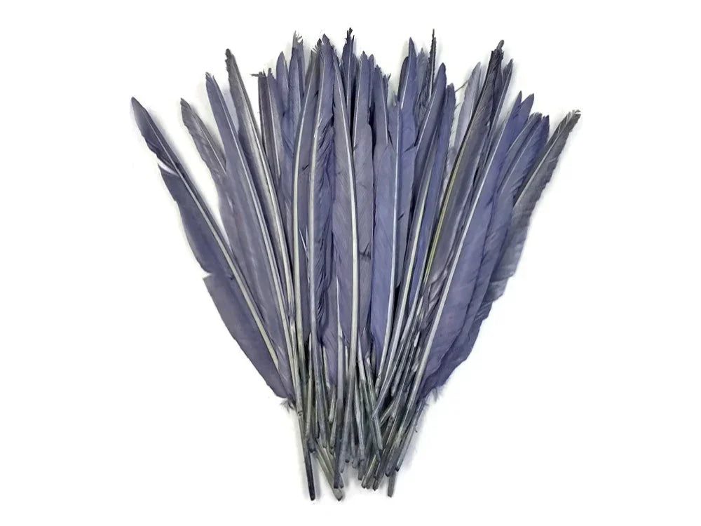A bundle of long, elegant blue-grey feathers for DIY crafts and fashion decor.