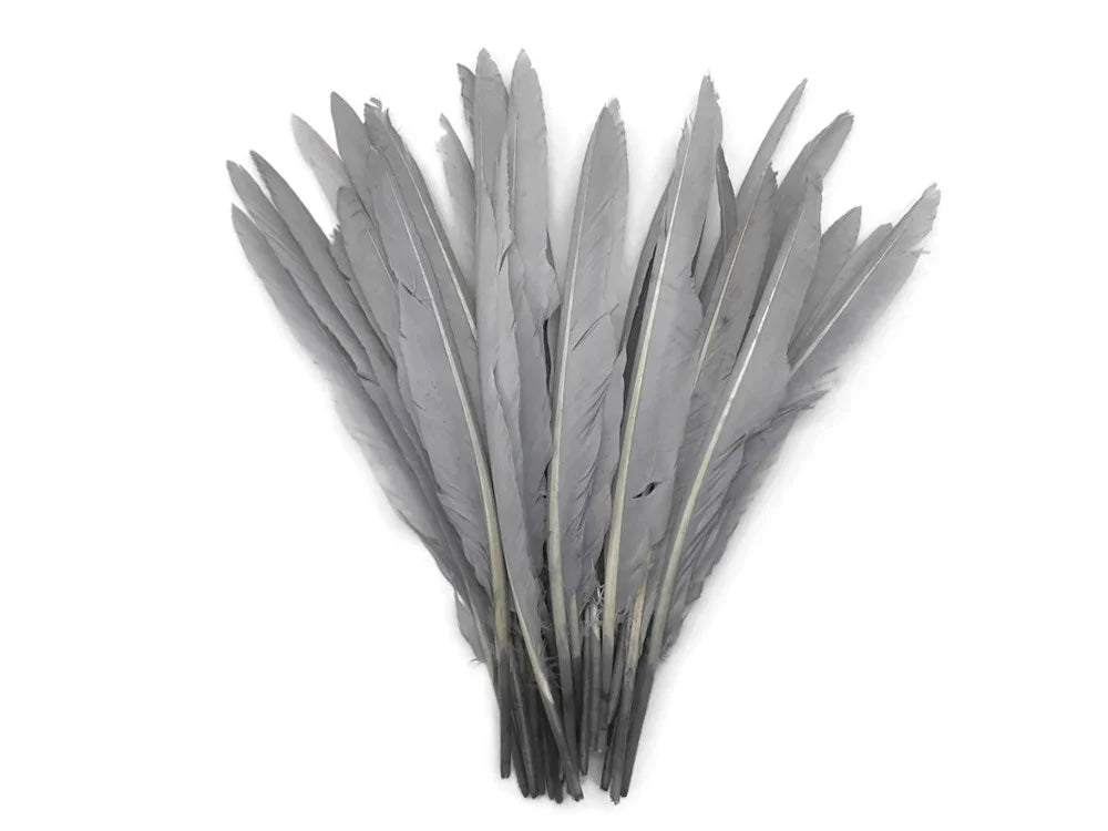 A bundle of long grey feathers for DIY crafts and fashion decor on a white background.