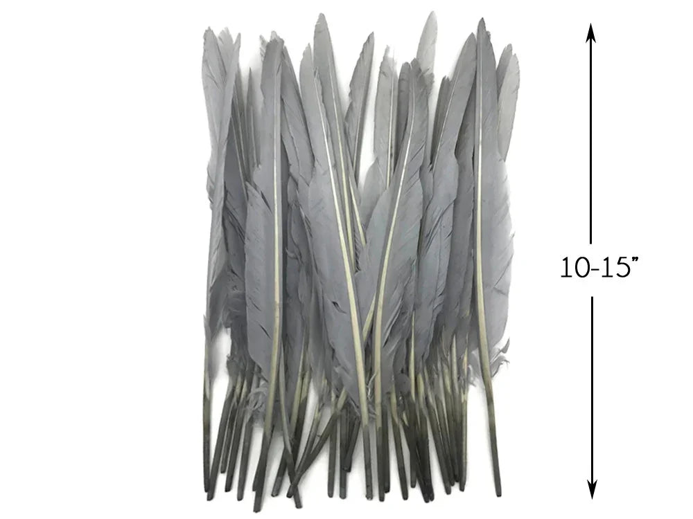 Bundle of long grey feathers for crafts and fashion decor, 10-15 inches in length.