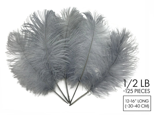 1/2 Lb - 12-16" Silver Gray Ostrich Tail Wholesale Fancy Feathers (Bulk)