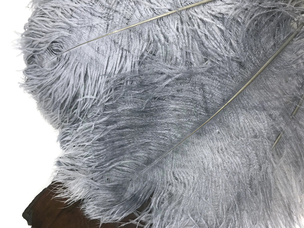 10 Pieces - 12-16" Silver Gray Dyed Ostrich Tail Fancy Feathers