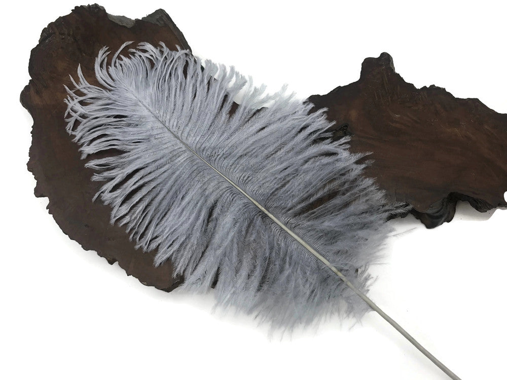 10 Pieces - 12-16" Silver Gray Dyed Ostrich Tail Fancy Feathers