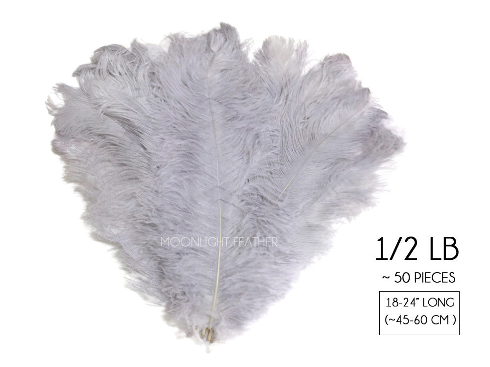 1/2 Lb. - 18-24" Silver Gray Large Ostrich Wing Plume Wholesale Feathers (Bulk)