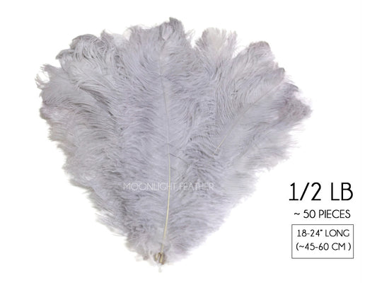 1/2 Lb. - 18-24" Silver Gray Large Ostrich Wing Plume Wholesale Feathers (Bulk)