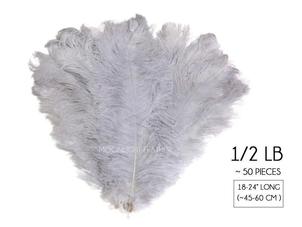 A bundle of light grey ostrich feathers, approximately 18-24 inches long.