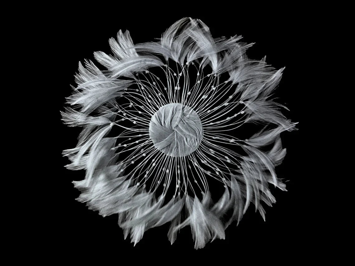 Intricate white feather arrangement forming a circular floral pattern on a black background.