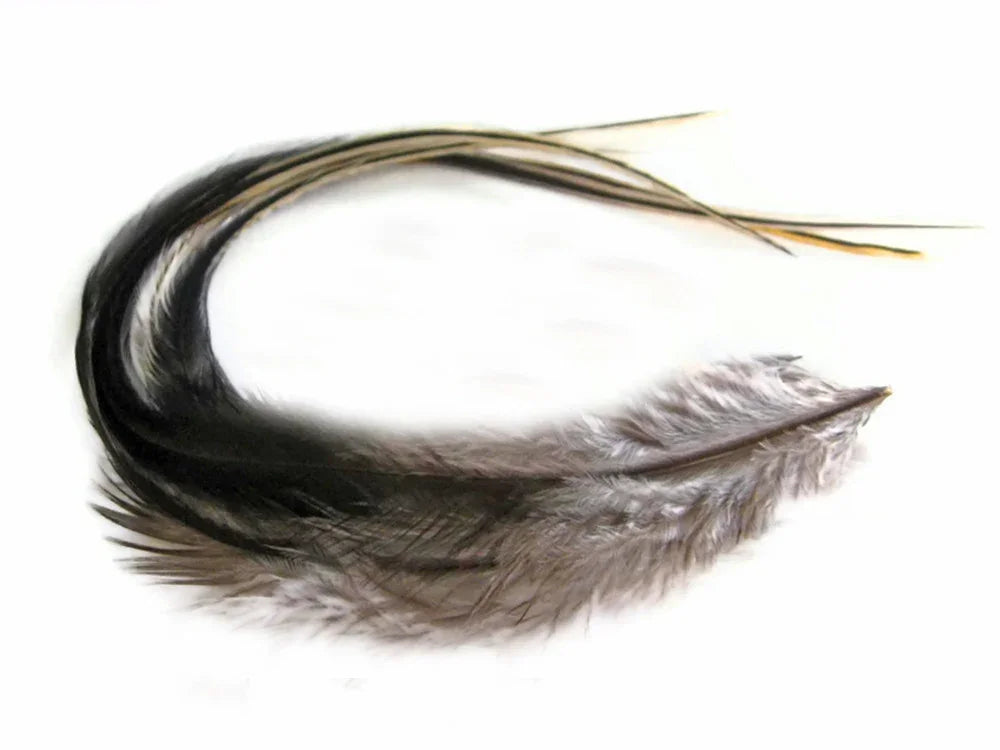 Curved black and brown natural feather for DIY crafts and fashion accessories.
