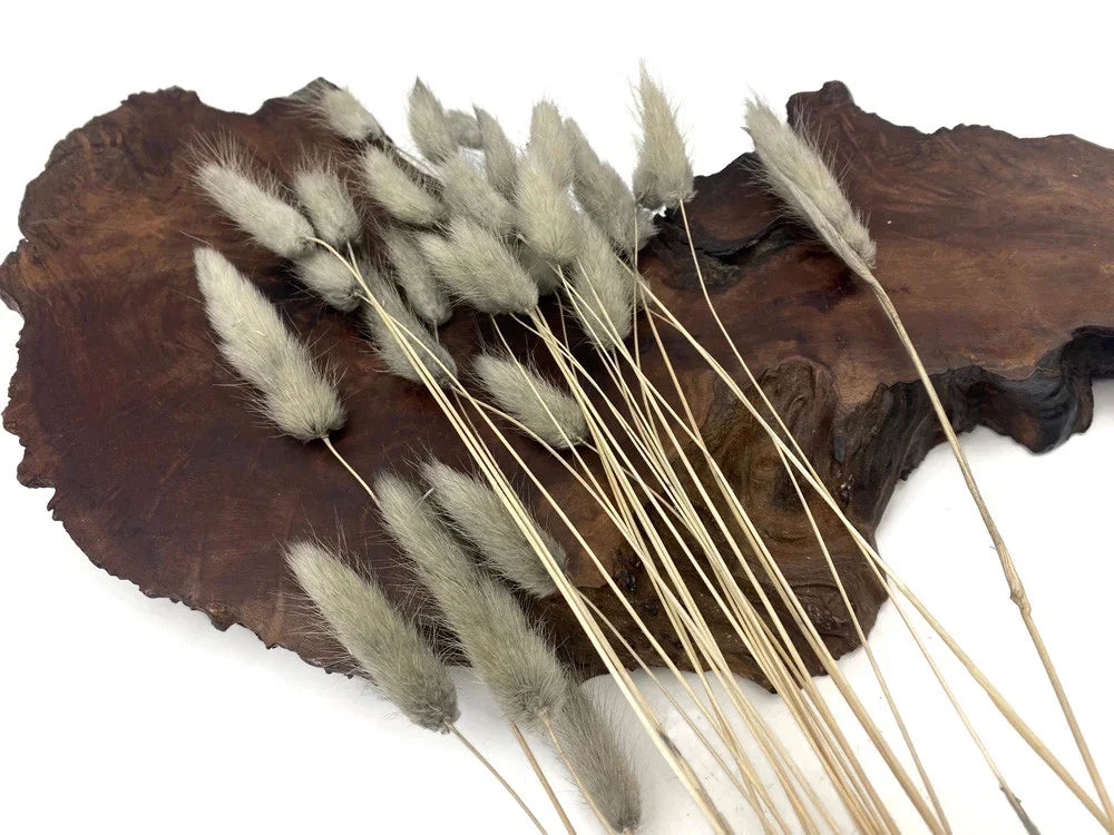 Dried bunny tail grass decor on a rustic dark wood slice.