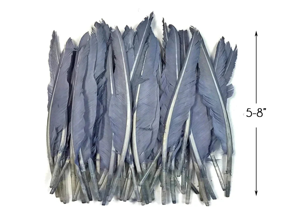 1/4 lbs. - Silver Gray Duck Pointer Primary Wing Wholesale Feathers (Bulk)