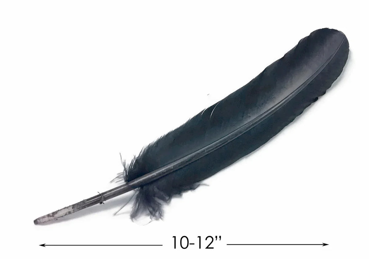 Single 10-12 inch long black feather for DIY crafts and fashion decor.
